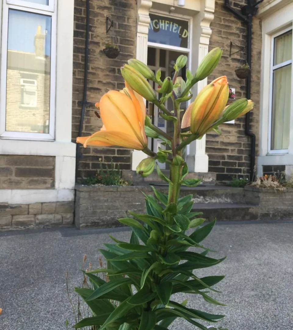 Highfield Guesthouse Skipton Egyesült Királyság