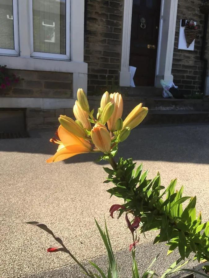 Highfield Guesthouse Skipton